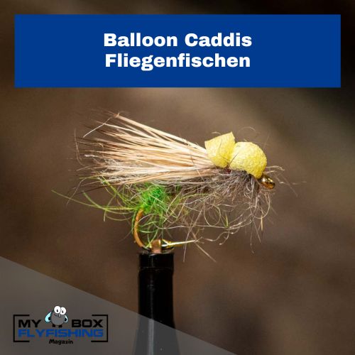 Balloon Caddis Fliege, Fliegenfischen 01 Balloon Caddis Fliege, Forelle Sommer