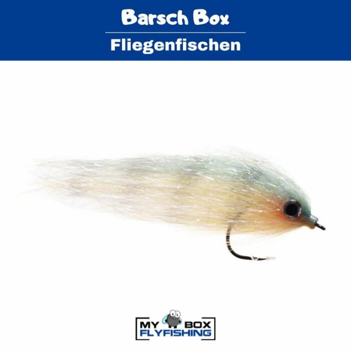 Barschfliegen Box – Bild 2