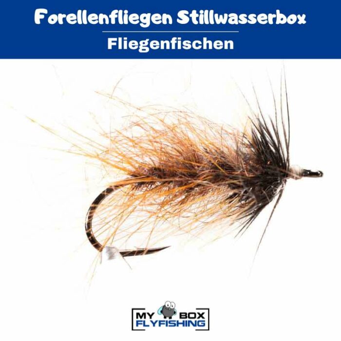 Forellenfliegen Stillwasserbox – Bild 4