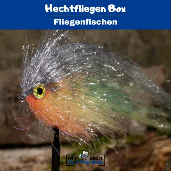Hechtfliegen Box – Bild 2