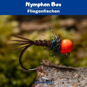 Nymphen Box