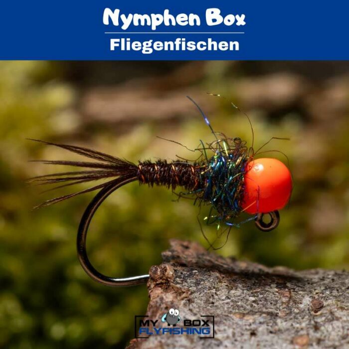 Nymphen Box