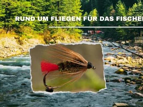 Fliegen Forelle Mai