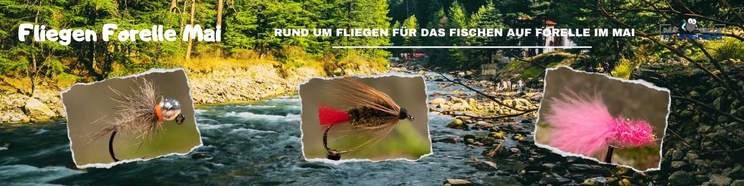 Fliegen Forelle Mai