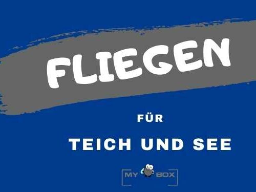 Fliegen Teich, See Frühling
