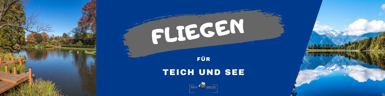 Fliegen Teich, See Frühling