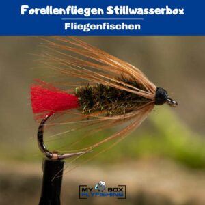 Forellenfliegen Stillwasserbox