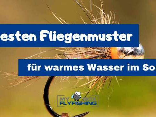 Fliegenmuster warmes Wasser