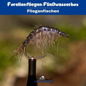 Forellenfliegen Fließwasserbox