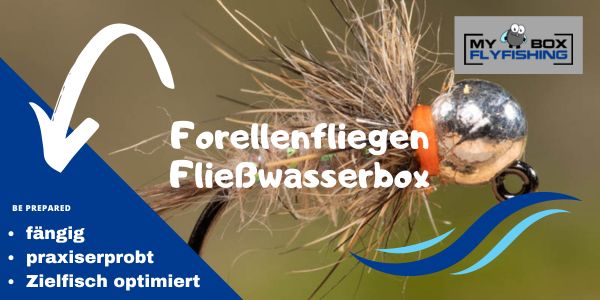 Forellenfliegen Fließwasserbox