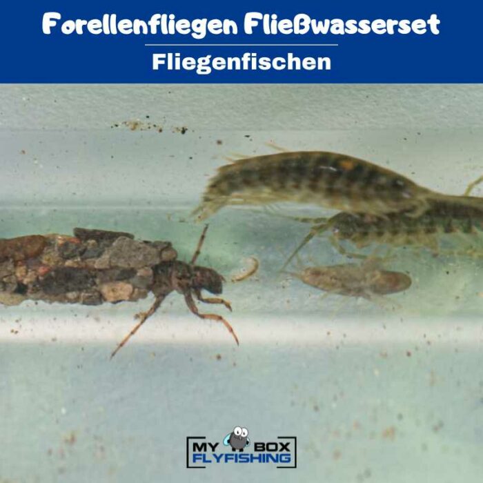 Forellenfliegen Fließwasserset – Bild 3