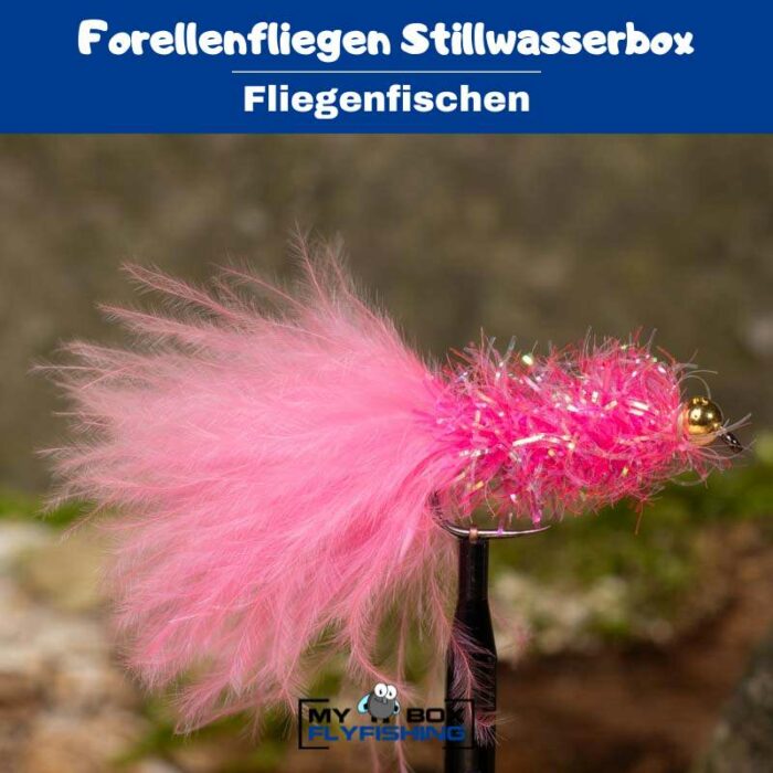 Forellenfliegen Stillwasserbox – Bild 3
