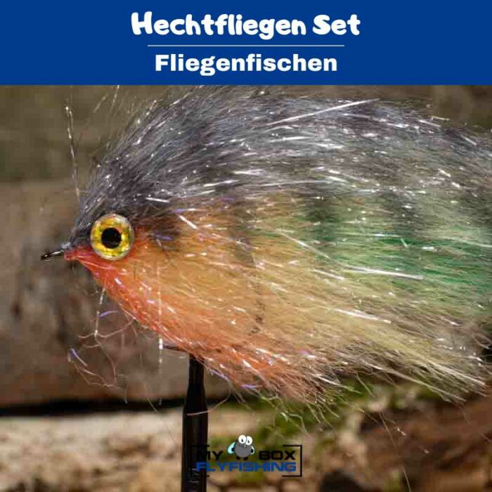 Hechtfliegen Set