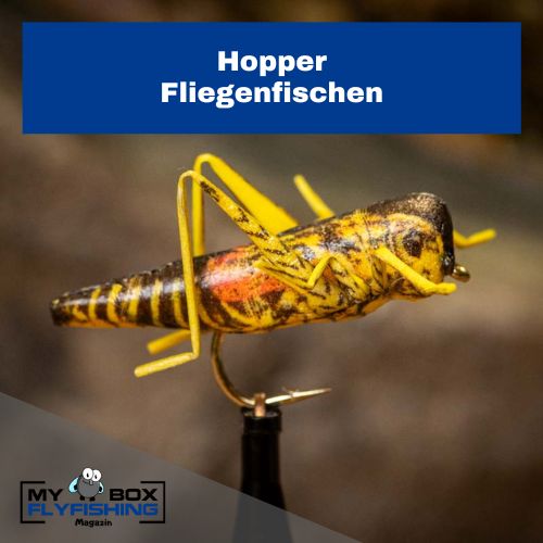 Hopper Fliege, Fliegenfischen 01 Hopper Fliege, Top 5 Fliegen Forelle Sommer