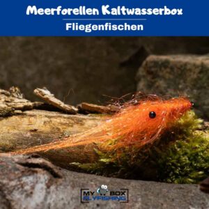 Meerforellenfliegen Kaltwasserbox