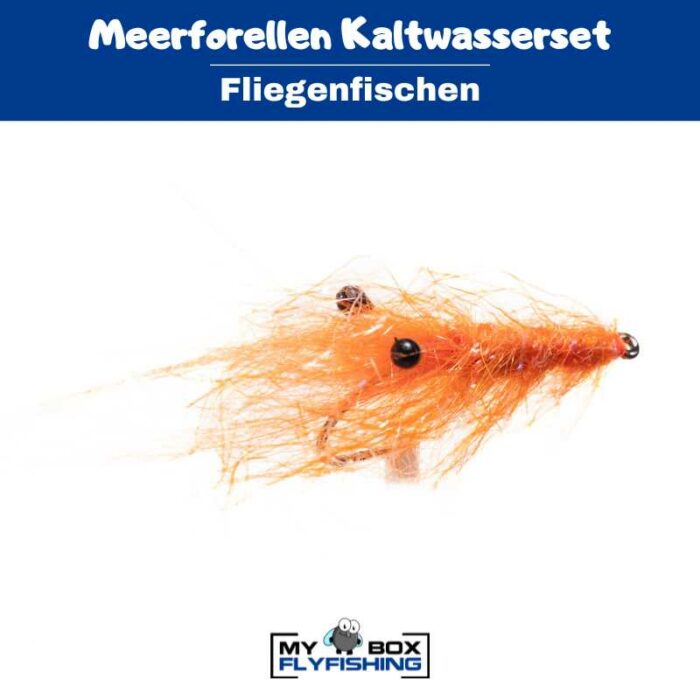Meerforellenfliegen Kaltwasserset