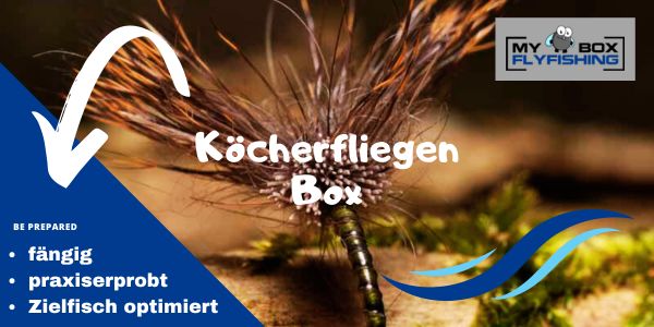 Köcherfliegen Box
