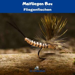 Maifliegen Box