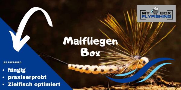 Maifliegen Box
