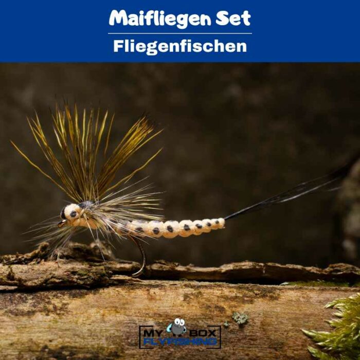 Maifliegen Set – Bild 2