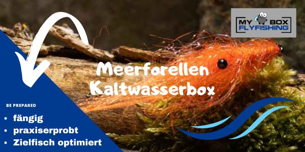 Meerforellenfliegen Kaltwasserbox