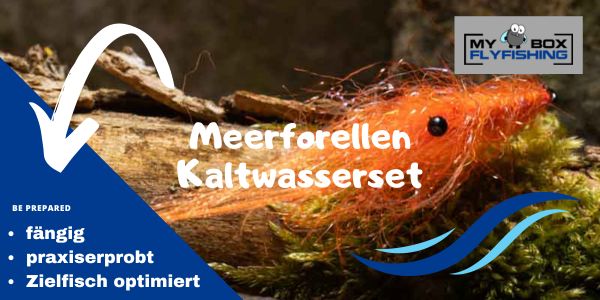 Meerforellenfliegen Kaltwasserset