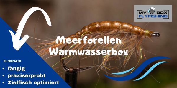 Meerforellenfliegen Warmwasserbox