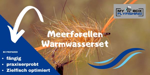 Meerforellenfliegen Warmwasserset