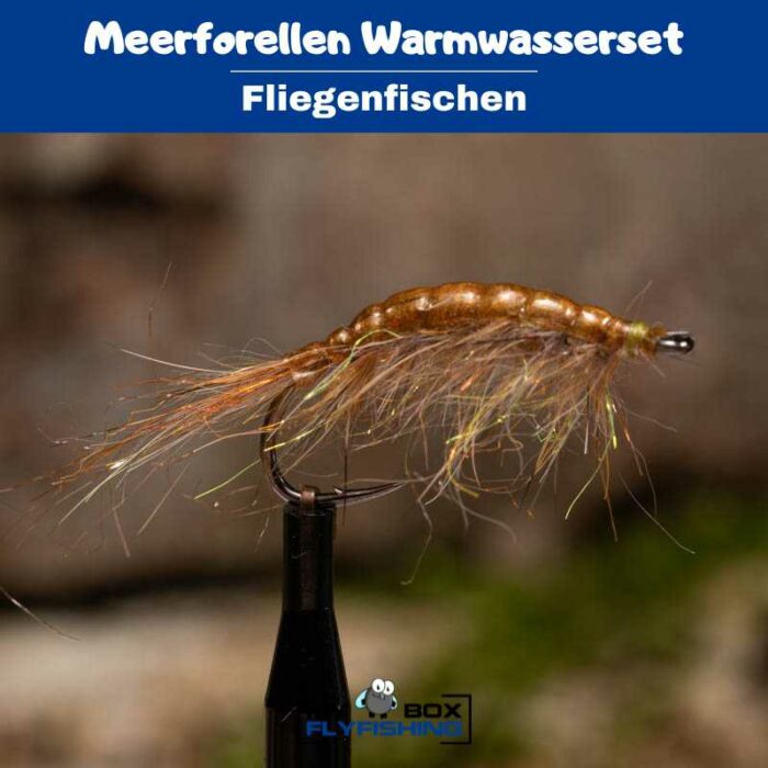 Meerforellenfliegen Warmwasserset