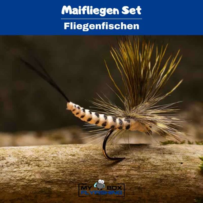 Maifliegen Set – Bild 3