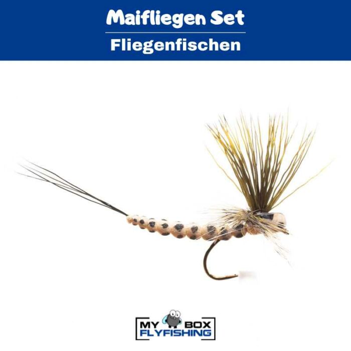 Maifliegen Set