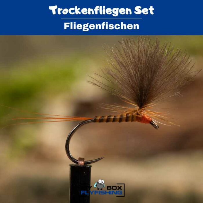 Trockenfliegen Set – Bild 2