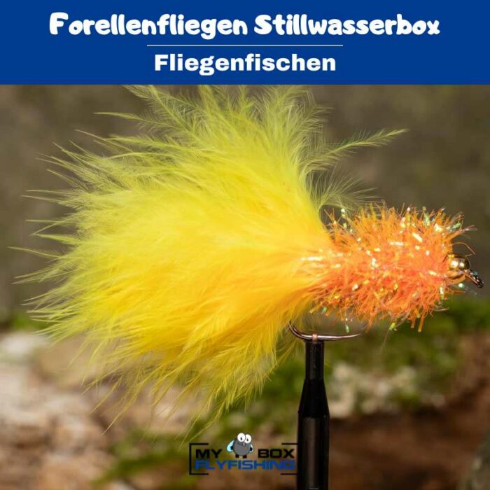 Forellenfliegen Stillwasserbox – Bild 2