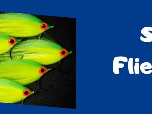 Streamer Fliegenfischen