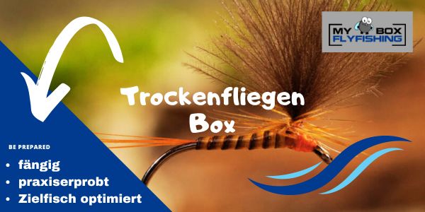 Trockenfliegen Box