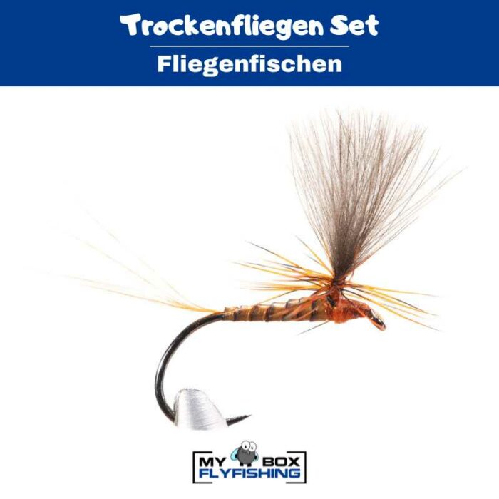 Trockenfliegen Set