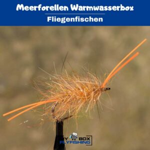 Meerforellenfliegen Warmwasserbox